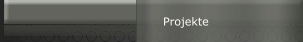Projekte